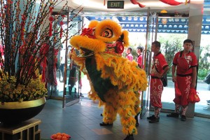 Lion Dance